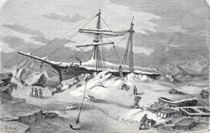 संकट में हंसा, पब। लंदन 1874 द्वारा जर्मन स्कूल