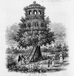 रतिबोर का नक्शा, सिलेसिया, 1893