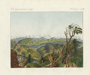 हिमालय के दो दृश्य (रंगीन उत्कीर्णन) द्वारा जर्मन स्कूल