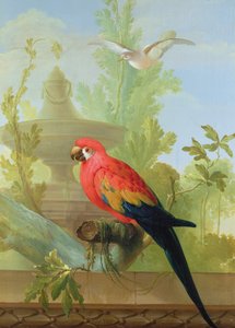 एक मैकॉ और एक सजावटी उद्यान में एक कबूतर, 1772 द्वारा गेरिट वैन डेन हेउवेल