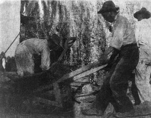 तीन कामगार। काम पर तीन अफ्रीकी अमेरिकी मजदूरों को दिखाती तस्वीर। (सी.ए. 1900) गर्ट्रूड कासेबियर द्वारा