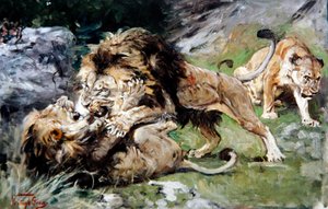 बार्बरी लायंस फाइटिंग, c.1890 (कैनवास पर तेल) द्वारा गीजा वास्तुग