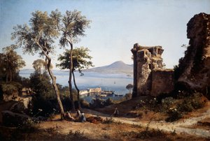 Castellammare di Stabia का दृश्य (कैनवास पर तेल)