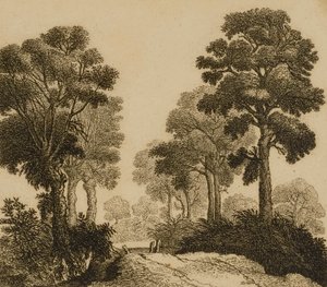  द्वारा गिलिस नेट्स