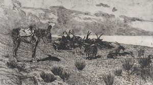 1884-1908 की सर्दियों में समुद्र के किनारे गधे और बकरियाँ। द्वारा जियोवन्नी फत्तोरी