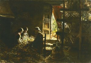 कोकून का संग्रह, कोकून का संग्रह, 1882-1883। द्वारा जियोवन्नी सेर्जिनी