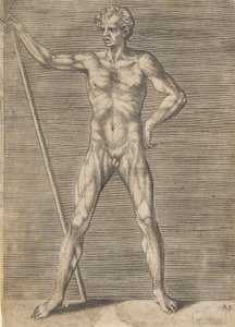 सामने से दिख रहा भड़का हुआ आदमी, एक छड़ी पकड़े हुए, ca. 1531-76।