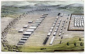  द्वारा गिउलिओ फेरारियो