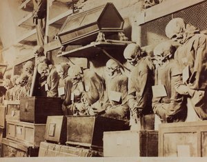 पलेर्मो में Capuchin friars के Catacombs का विवरण द्वारा Giuseppe निगमित
