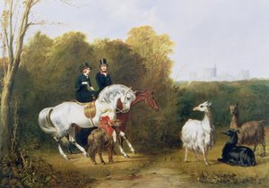 क्वीन विक्टोरिया (1819-1901) और प्रिंस अल्बर्ट (1819-61) हाउस पार्क, विंडसर में लामाओं को देखते हुए, c.1845