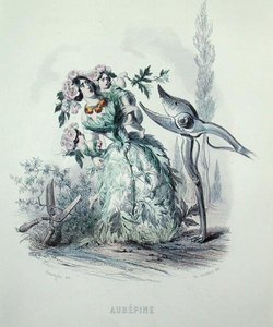 द हॉथोर्न, 'लेस फ्लेर्स एनिमीज़' से, चार्ल्स जेफ़रॉय द्वारा उकेरा गया (1819-82) द्वारा ग्रैंडविल