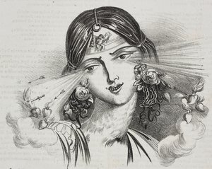 जीन-जैक्स ग्रैंडविल (1803-1847) द्वारा स्त्री सौंदर्य, कैरिकेचर, पोलियोरामा पिटोरेस्को से गेटानो रिकियो द्वारा लिथोग्राफ, एन 20, दिसंबर 24 द्वारा ग्रैंडविल