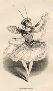 उसने एक साल्टरेल नृत्य किया। जे जे ग्रैनविले द्वारा सचित्र विगनेट्स एनग्रेविंग ने "सीन्स फ्रॉम द प्राइवेट एंड पब्लिक लाइव्स ऑफ एनिमल्स" में पीजे स्टाल द्वारा लिखित "द एडवेंचर्स ऑफ ए बटरफ्लाई" नामक भाग में एंड्रयू, बेस्ट और लेलोइर पर हस् द्वारा ग्रैंडविल