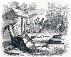 पक्षी एक तीर से दर्द करता है - ला फोंटेन द्वारा दंतकथाएं द्वारा ग्रैंडविल