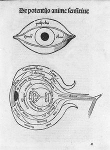 मनुष्य की आँख का अध्ययन। ग्रेगोर रीश (1467-1525), बेल 1517 द्वारा "मार्गरीटा फिलोसोफिका" से एनाटोमिकल बोर्ड।