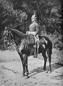 ट्रूप सर्जेंट-मेजर, 3, द प्रिंस ऑफ वेल्स ड्रैगून गार्ड्स, c1880
