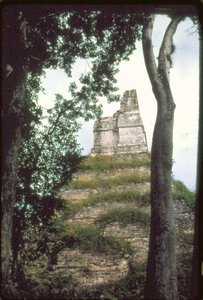 शिलालेख का मंदिर, सी। 700AD द्वारा ग्वाटेमाला स्कूल