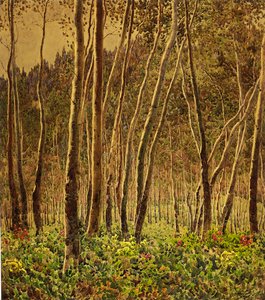 सनलाइट बिर्चेस