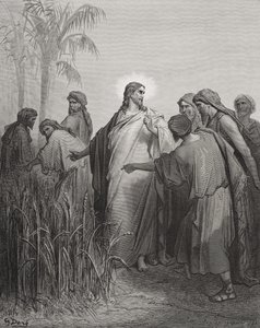 यीशु और उनके चेले मकई के खेत में, डोरे की &39;द होली बाइबल&39; का चित्रण, 1866 में उत्कीर्णक द्वारा गुस्ताव डोर