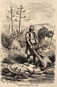1862 में सी.डेविलियर के साथ स्पेन की अपनी यात्रा का वर्णन करने के लिए, गुस्ताव डोर (1832-1883) द्वारा चित्रित, घोड़ों, खेतों की बाड़ बनाने के लिए इस्तेमाल की जाने वाली पत्तियों को हटाने के लिए एलो या एगेव डी'मेरिक की तैयारी। में उत्कीर्णन " " द्वारा गुस्ताव डोर