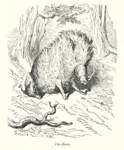  द्वारा गुस्ताव डोर