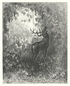  द्वारा गुस्ताव डोर