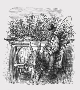 द फ्लावर हॉकर, 1872। द्वारा गुस्ताव डोर