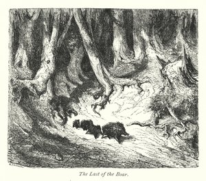  द्वारा गुस्ताव डोर