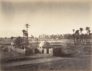 1867 में कर्नाक के मंदिर से लिया गया थेब्स के मैदान का दृश्य। द्वारा गुस्ताव लेग्रे