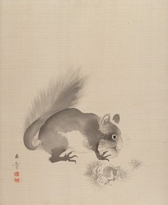 चेस्टनट खाने वाली गिलहरी, 1887-92।