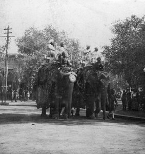 एक पंजाबी राजकुमारी, बारात में हाथी पर सवार, दिल्ली, भारत, 1900s।
