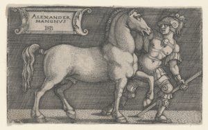 अलेक्जेंडर द ग्रेट लीडिंग ब्यूफालस, c.1531-1550 (उत्कीर्णन) द्वारा हंस सेबाल्ड बेहम