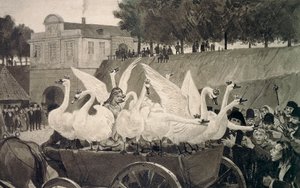 जंगली हंस, हंस क्रिस्चियन एंडरसन (1805-1875) द्वारा परी कथा के लिए हैंस टेग्नर (1853-1932) द्वारा चित्रण द्वारा हंस टेगनर