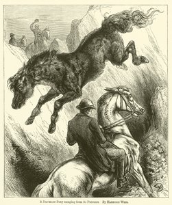 एक Dartmoor टट्टू अपने पीछा से बच द्वारा हैरिसन विलियम वियर
