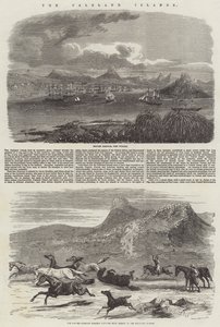 फ़ॉकलैंड द्वीप समूह द्वारा हैरिसन विलियम वियर