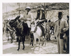  द्वारा हैरी बर्टन
