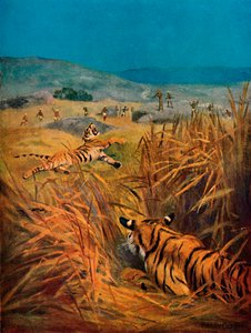 टाइगर्स - भारतीय गांवों का आतंक, 1913 द्वारा हैरी डिक्सन