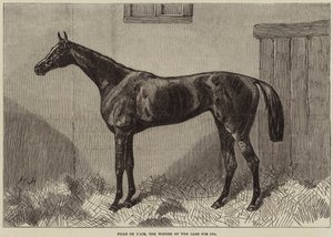 1864 के लिए ओक्स का विजेता फील डी लायर