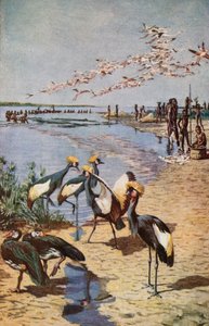 1822 में डेन्हम द्वारा देखा गया, चाड झील का उत्तरी तट द्वारा हैरी हैमिल्टन जॉनसन