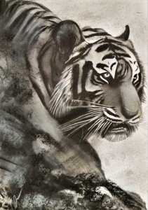  द्वारा हास्केल कला