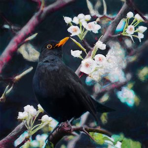 लॉर्ड ऑफ द समर सॉन्ग, 2019 द्वारा हेलेन व्हाइट