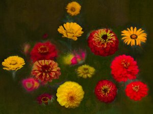 उत्कृष्ट सौंदर्य, 2019 द्वारा हेलेन व्हाइट