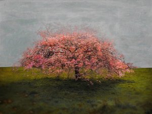 स्टैंड अलोन ब्यूटी, 2019 द्वारा हेलेन व्हाइट