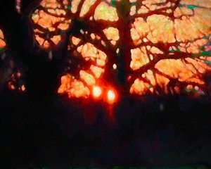  द्वारा हेलेन व्हाइट