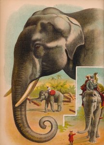 हाथी, c1900