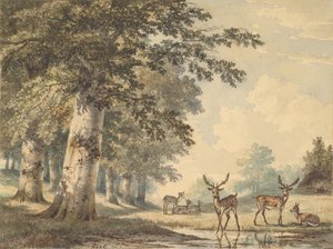 1853 में सर्दियों में बीच के पेड़ों के नीचे हिरण।