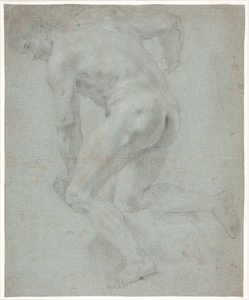 पुरुष मॉडल अध्ययन द्वारा Hendrik Krock