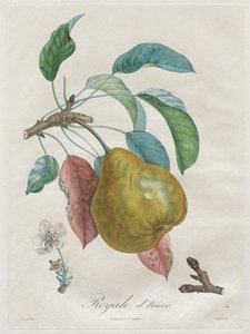 फलों के पेड़ों पर ग्रंथ: रॉयल धीवर, 1808-1835।