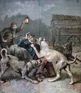एक अपराधी ने तीन बड़े कुत्तों पर हमला किया, 1891 द्वारा हेनरी मेयर
