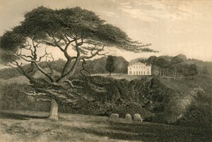 विंडमिल हिल, 1835।